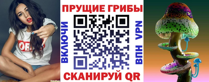 ОМГ ОМГ как зайти Всеволожск Галлюциногенные грибы Psilocybine cubensis дарнет шоп