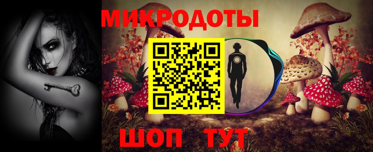 Псилоцибиновые грибы прущие грибы Всеволожск